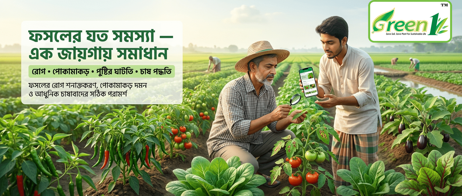 Agriculture Banner - Bangladeshi Farming