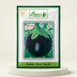 হাইব্রিড বেগুন ব্লাক বোম বীজ Hybrid Eggplant Black Bomb Seeds