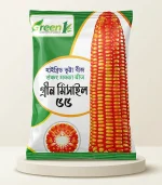 হাইব্রিড ভুট্টা – গ্রীন মিসাইল ৫৫ বীজ | High Yield Hybrid Maize Seeds