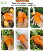 ফিঙ্গার নাইফ (Finger Knife-Packet) - Image 2