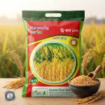 ব্রি ধান ১০৮ মূলত ব্রি-এর বিজ্ঞানীরা ২০২২ সালে উদ্ভাবন করেন এবং ২০২৪ সালের শুরুতে এটি জাতীয় বীজ বোর্ড কর্তৃক অনুমোদিত হয়। জিরা ধানের বাজারে ভালো চাহিদা থাকায় এবং উচ্চ ফলনশীল হওয়ায় এই জাতটি কৃষকদের মধ্যে দ্রুত জনপ্রিয়তা পাচ্ছে।