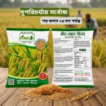 ব্রি ধান ১০৩ উচ্চ ফলনশীল আমন ধান বীজ - ২ কেজি - Image 3