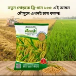 ব্রি ধান ১০৩ উচ্চ ফলনশীল আমন ধান বীজ - ২ কেজি