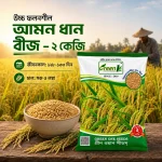 ব্রি ধান ১০৩ উচ্চ ফলনশীল আমন ধান বীজ - ২ কেজি - Image 2