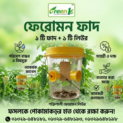 ফেরোমন ফাঁদ, Pheromone Trap price in Bangladesh, পোকা দমনের ফাঁদ, বিষমুক্ত কৃষি, গ্রিন ওয়ান ফেরোমন লিউর।