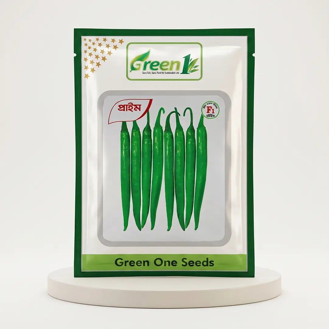 মরিচ প্রাইম গ্রীন ওয়ান Prime F1 Hybrid Chili Seeds by Green One Seeds with dark green long chili variety.