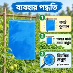 Thrips Monitoring & Management